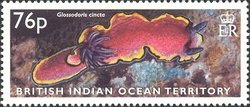 Stamp, Girdled Glossodoris (Glossodoris cincta), British Indian Ocean Territory,  , Sea Life