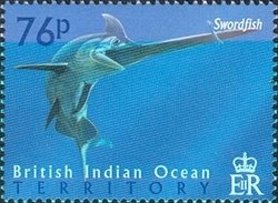 Swordfish (Xiphias gladius)