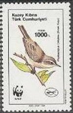 Stamp, Common Chiffchaff (Phylloscopus collybita), Northern Cyprus,  , Birds, Animals (Fauna)