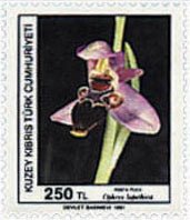 Stamp, Orphrys lapethica, Northern Cyprus,  , Orchids