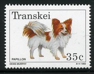Stamp, Papillon (Canis lupus familiaris), South Africa, Homelands,  , Dogs