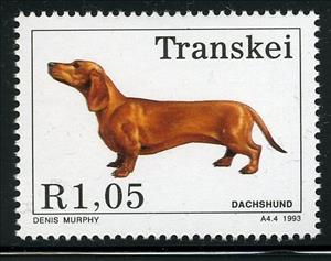 Stamp, Dachshund (Canis lupus familiaris), South Africa, Homelands,  , Dogs
