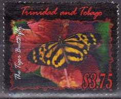 Longwing Butterfly (Heliconius sp.)