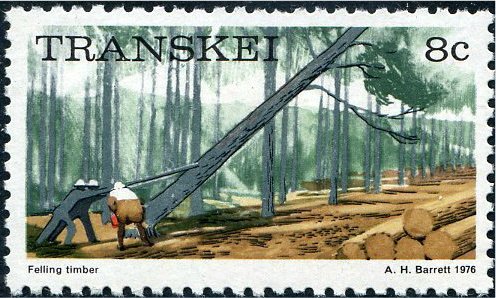Felling timber
