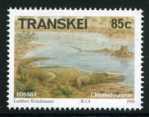 Chasmatosaurus