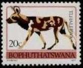Stamp, African Hunting Dog (Lycaon pictus), South Africa, Homelands,  , Dogs