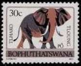 Stamp, African Elephant (Loxodonta africana), South Africa, Homelands,  , Elephants