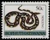 Stamp, Southern African Rock Python (Python sebae natalensis), South Africa, Homelands,  , Snakes