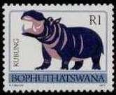 Hippopotamus (Hippopotamus amphibius)