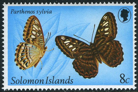 Clipper (Parthenos sylvia)