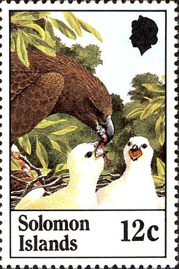 Sanford's Sea-eagle (Haliaeetus sanfordi)