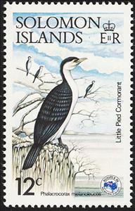 Stamp, Little Pied Cormorant (Microcarbo melanoleucos), Solomon Islands,  , Birds