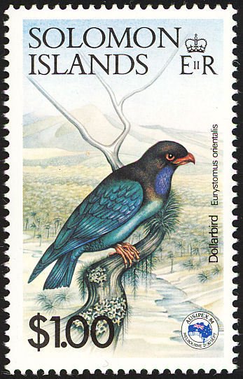 Oriental Dollarbird (Eurystomus orientalis)