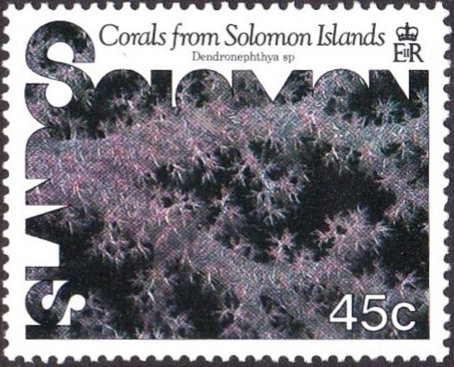 Carnation Tree Coral (Dendronephthya sp.)
