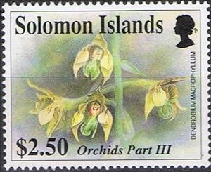 Stamp, Dendrobium macrophyllum, Solomon Islands,  , Flowers, Orchids, Plants (Flora)