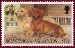 Stamp, Dachshund (Canis lupus familiaris), Solomon Islands,  , Dogs