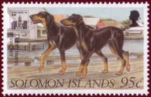 Stamp, Doberman Pinscher (Canis lupus familiaris), Solomon Islands,  , Dogs