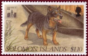Stamp, Australian Cattle Dog (Canis lupus familiaris), Solomon Islands,  , Dogs