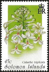 Stamp, Calanthe triplicata, Solomon Islands,  , Flowers, Orchids, Plants (Flora)