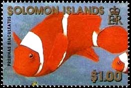 Stamp, Spine-cheeked Anemonefish (Premnas biaculeatus), Solomon Islands,  , Fishes