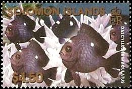 Stamp, Threespot Dascyllus (Dascyllus trimaculatus), Solomon Islands,  , Fishes