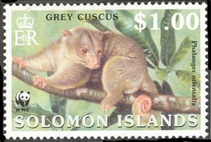 Stamp, Grey Cuscus (Phalanger orientalis), Solomon Islands,  , WWF, Animals (Fauna)