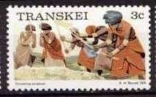 Threshing sorghum
