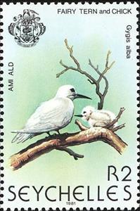 Stamp, White Tern (Gygis alba), Seychelles,  , Birds, Animals (Fauna)