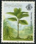 Seychelles splendid palm