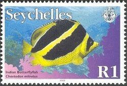 Indian Butterflyfish (Chaetodon mitratus)