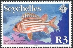 Yellow-tipped Squirrelfish (Sargocentron seychellensis) 