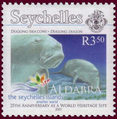 Dugong (Dugong dugon)