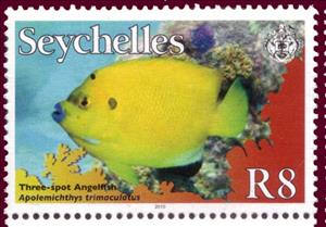 Stamp, Threespot Angelfish (Apolemichthys trimaculatus), Seychelles,  , Fishes