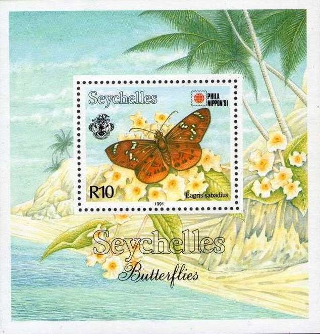 Hesperid Butterfly (Eagris sabadius)