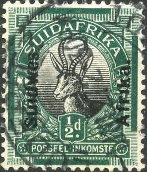 Springbok (Antidorcas marsupialis)