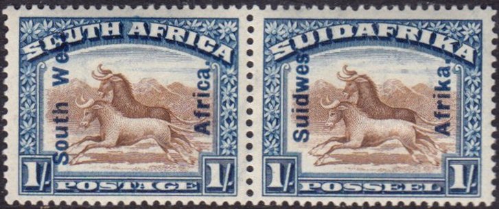 Wildebeest (Connochaetes sp.)
