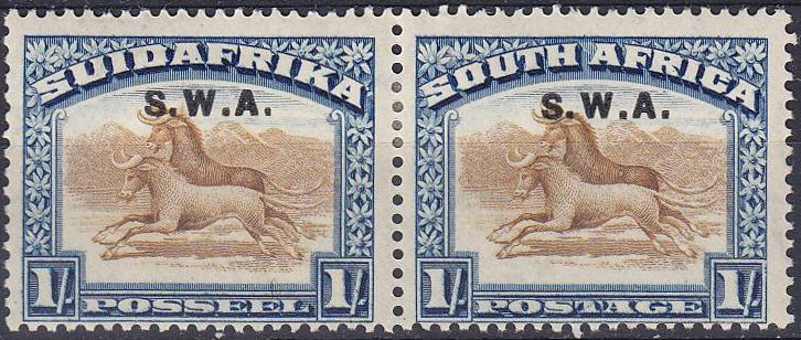 Wildebeest (Connochaetes sp.)