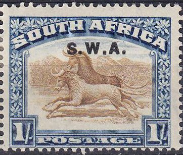 Wildebeest (Connochaetes sp.)