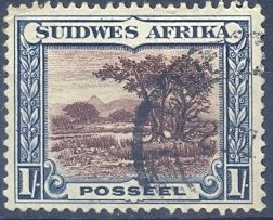 Bush Scene