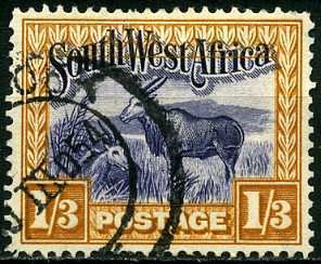 Common Eland (Taurotragus oryx)