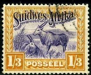 Common Eland (Taurotragus oryx)
