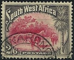 Mountain Zebra (Equus zebra), Blue Wildebeest (Connochaetes 