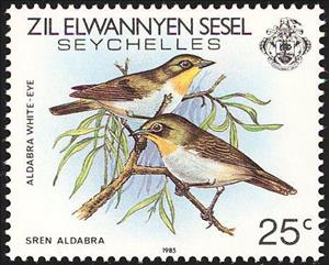 Stamp, Malagasy White-eye (Zosterops maderaspatanus), Seychelles,  , Birds, Animals (Fauna)
