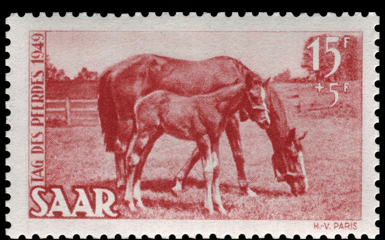 Mare with foal