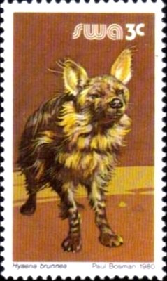 Brown Hyena (Hyaena brunnea)