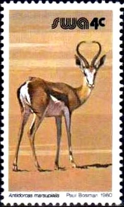 Stamp, Springbok (Antidorcas marsupialis), South-West Africa,  , Animals (Fauna)