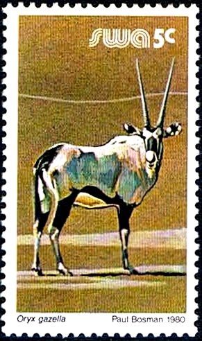 Gemsbok (Oryx gazella)