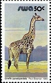 Stamp, Giraffe (Giraffa camelopardalis), South-West Africa,  , Giraffes, Animals (Fauna)