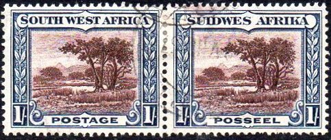 Bush Scene