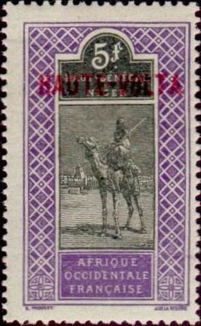 Dromedary (Camelus dromedarius) with Rider